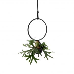 Die Blumenkugel ist wie eine Blumenampel, hängendes Objekt aus Rundrohr schwarz matt mit weiche Schale aus Pvc, für Pflanzen und Blumen